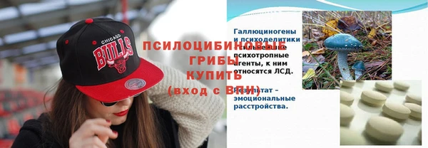 прущий лед Алексеевка