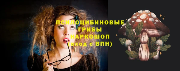 apvp Алзамай