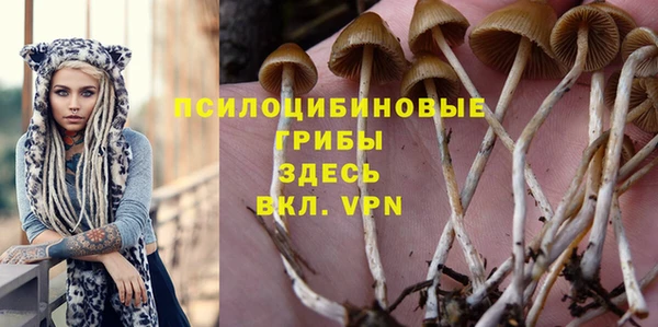 марки lsd Алексин