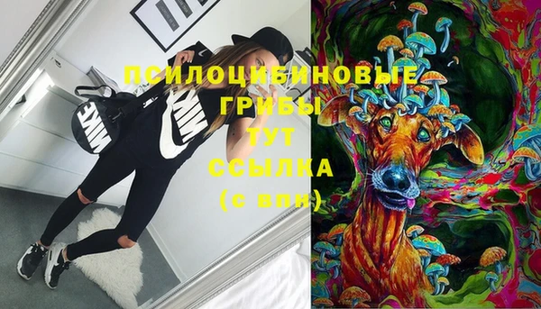 прущий лед Алексеевка