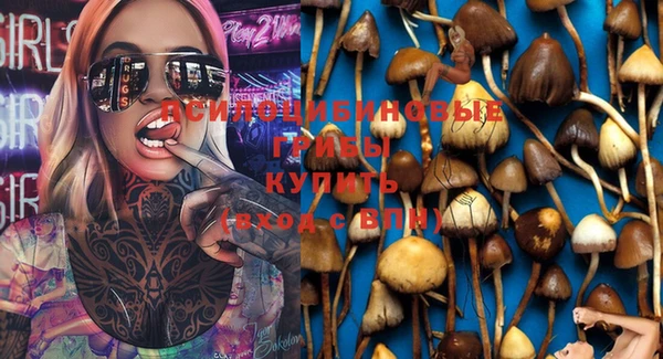 прущий лед Алексеевка