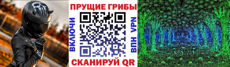 Псилоцибиновые грибы Cubensis  Пролетарск 